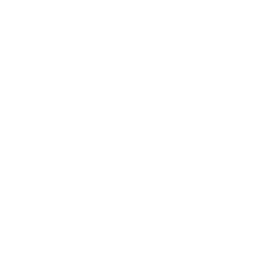 Strategic Partnership, Not Just Execution